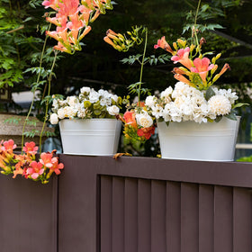 pansparade rail planters used for herbs and flowers on a porch or balcony