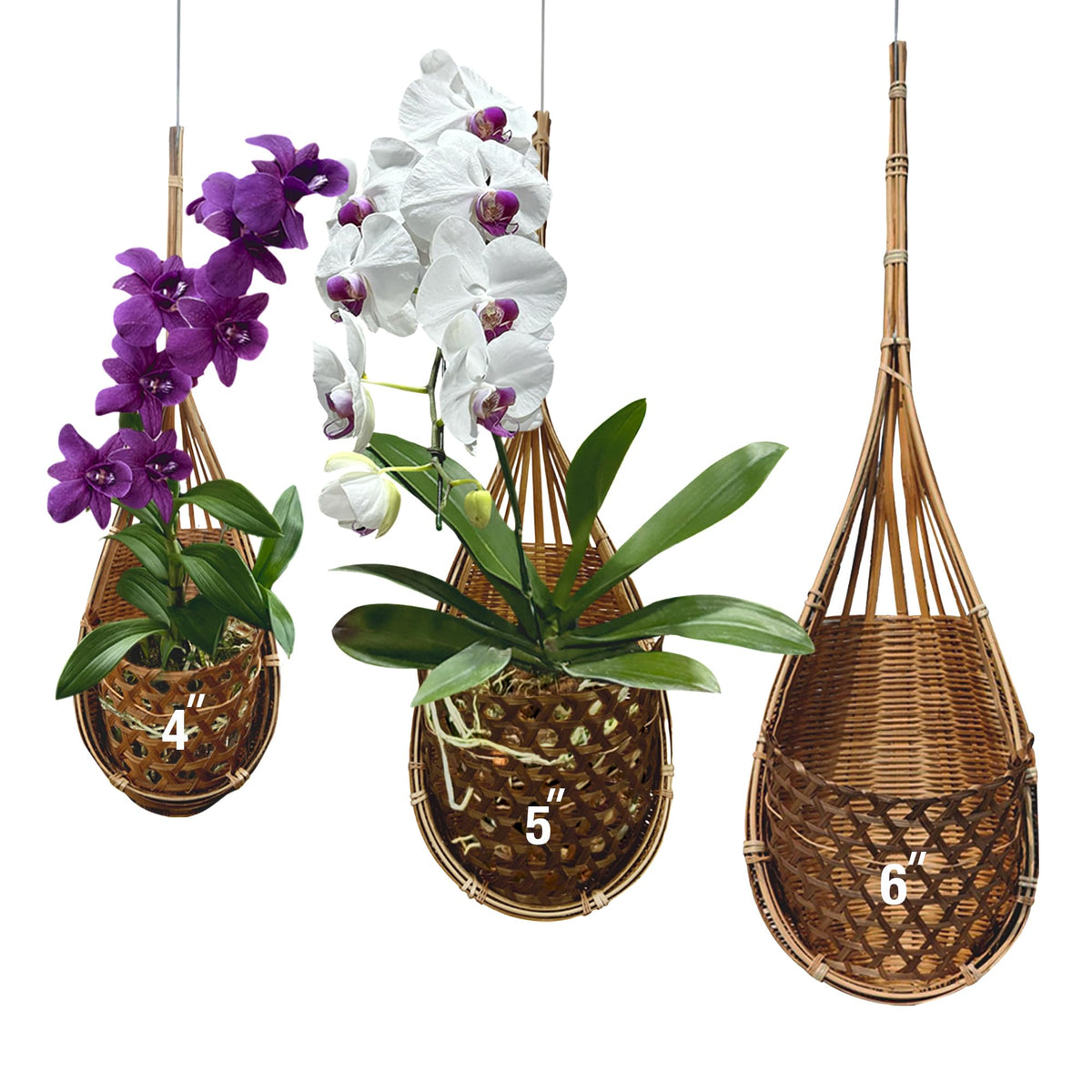 PANWA bamboo orchid basket 4in close-up highlights natural texture for elegant indoor display.