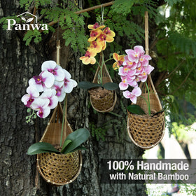 PANWA bamboo orchid basket 4in hanging showcases easy water drainage for outdoor patios.