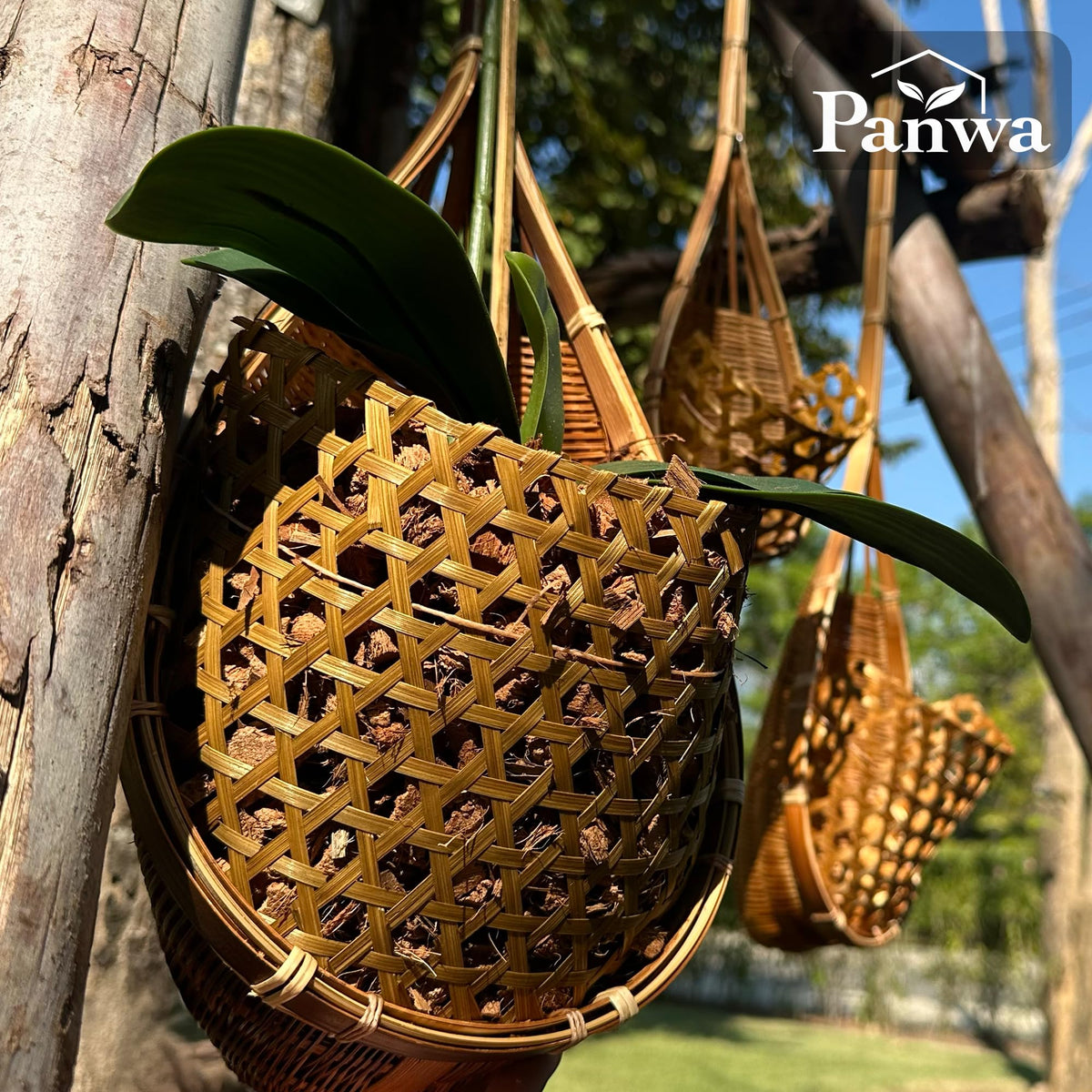 PANWA bamboo orchid basket 5in close-up reveals sturdy weave and rustic charm.