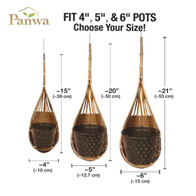 PANWA bamboo orchid basket 6in hanging demonstrates support for larger orchids.