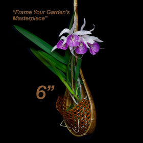 PANWA dark coffee-toned basket detail suitable for stylish indoor greenery.