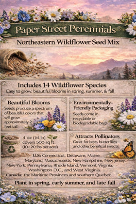 Butterflies around Paper Street Perennials blooms illustrating pollinator attraction
