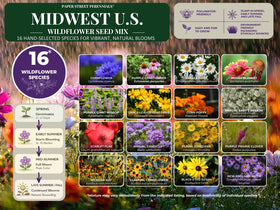 Paper Street Perennials pollinator bloom close-up showcases vibrant colors.