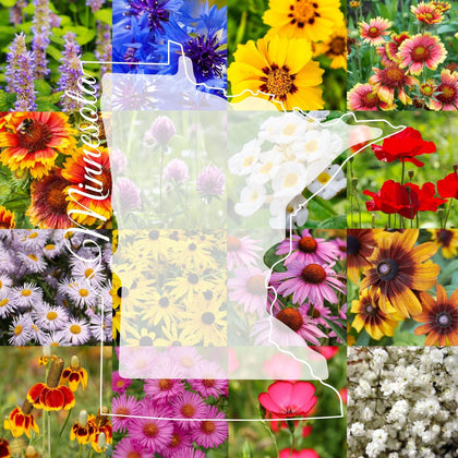 Paper Street Perennials seed mix packet for a pollinator-friendly border.