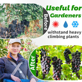 Paradi Star heavy-duty garden trellis aids outdoor vines, fruits, and flowers.