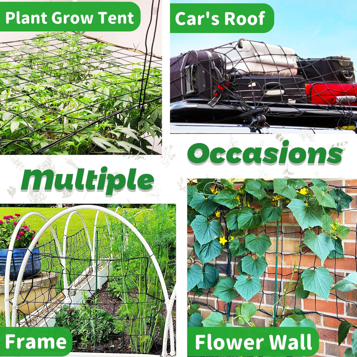 Paradi Star versatile trellis net for indoor and outdoor use with flexible setup options.
