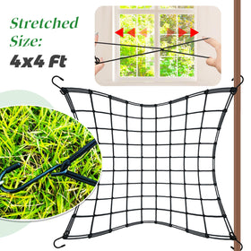 Paradi Star plant SCROG net supports heavy vines while promoting vertical growth.
