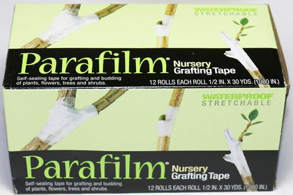 Parafilm nursery grafting tape roll demonstrates breathable barrier for grafting.