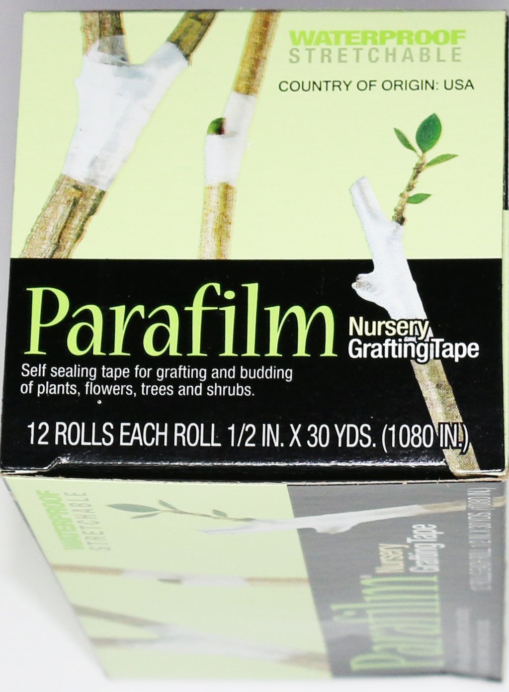 Parafilm nursery grafting tape around a bud shows flexible self-adhesive sealing.