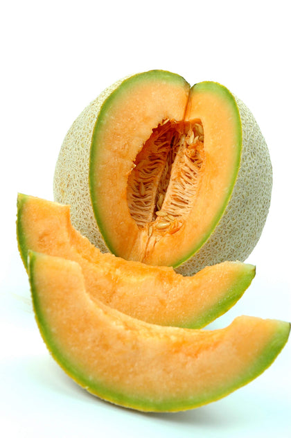 Park Seed Athena hybrid melon fruit on vine, early harvest-friendly and high-yield