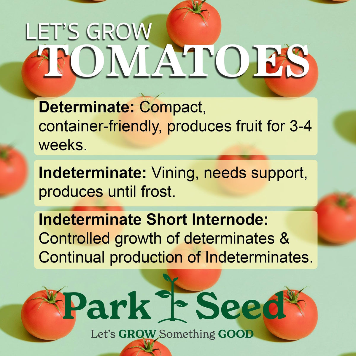 Park Seed Big Beef tomato plants healthy with dense foliage ready for harvest.