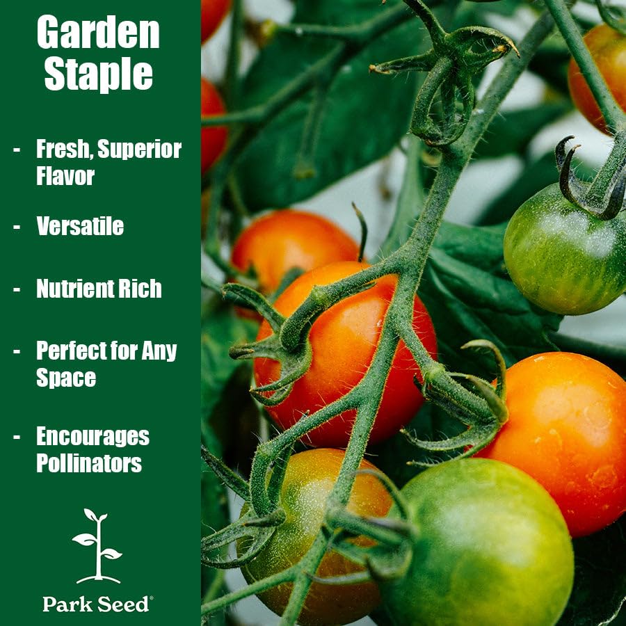 Park Seed Big Beef tomato sliced for sandwiches and salads.