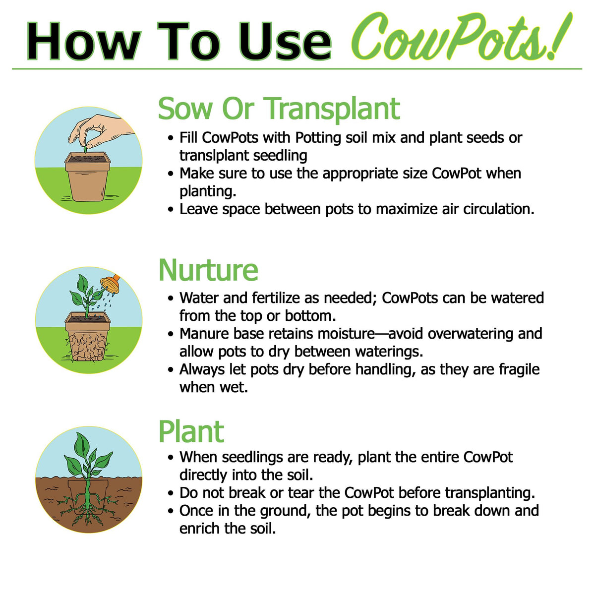 Park Seed CowPots eco packaging contains 60 pots for organized sowing.