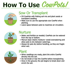 Park Seed CowPots eco packaging contains 60 pots for organized sowing.