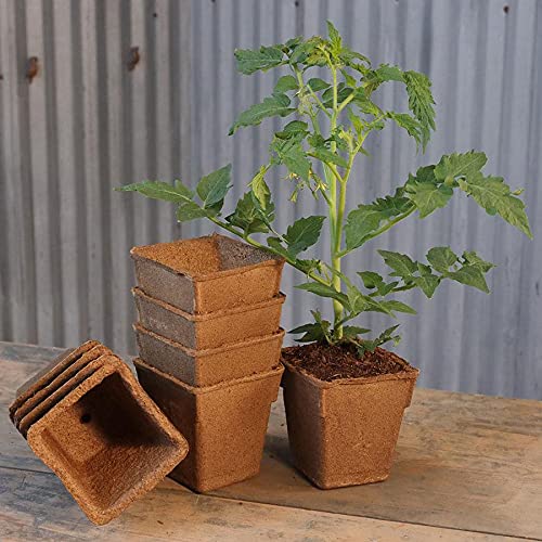 Park Seed CowPots nitrogen-rich porous design fosters air circulation for seedlings.