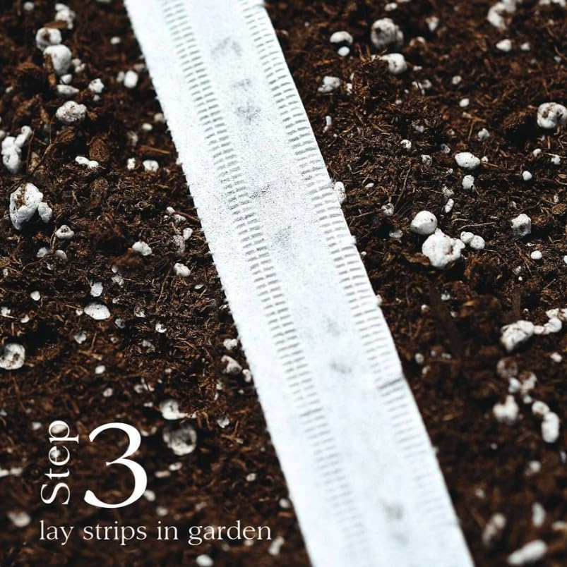 Park Seed Damast seed tape reveals 65-day maturity timing