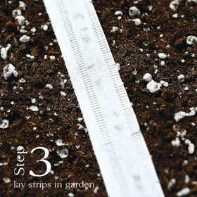 Park Seed Damast seed tape reveals 65-day maturity timing