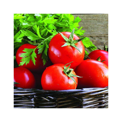 Park Seed Early Girl tomato seeds pack ready for spring planting.