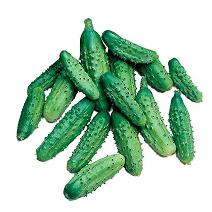 Park Seed Parisian Gherkin cucumber seeds packet ready for easy direct sowing
