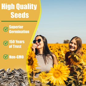 Park Seed ProCut White Nite Sunflower supports wildlife with seeds and pollinators.