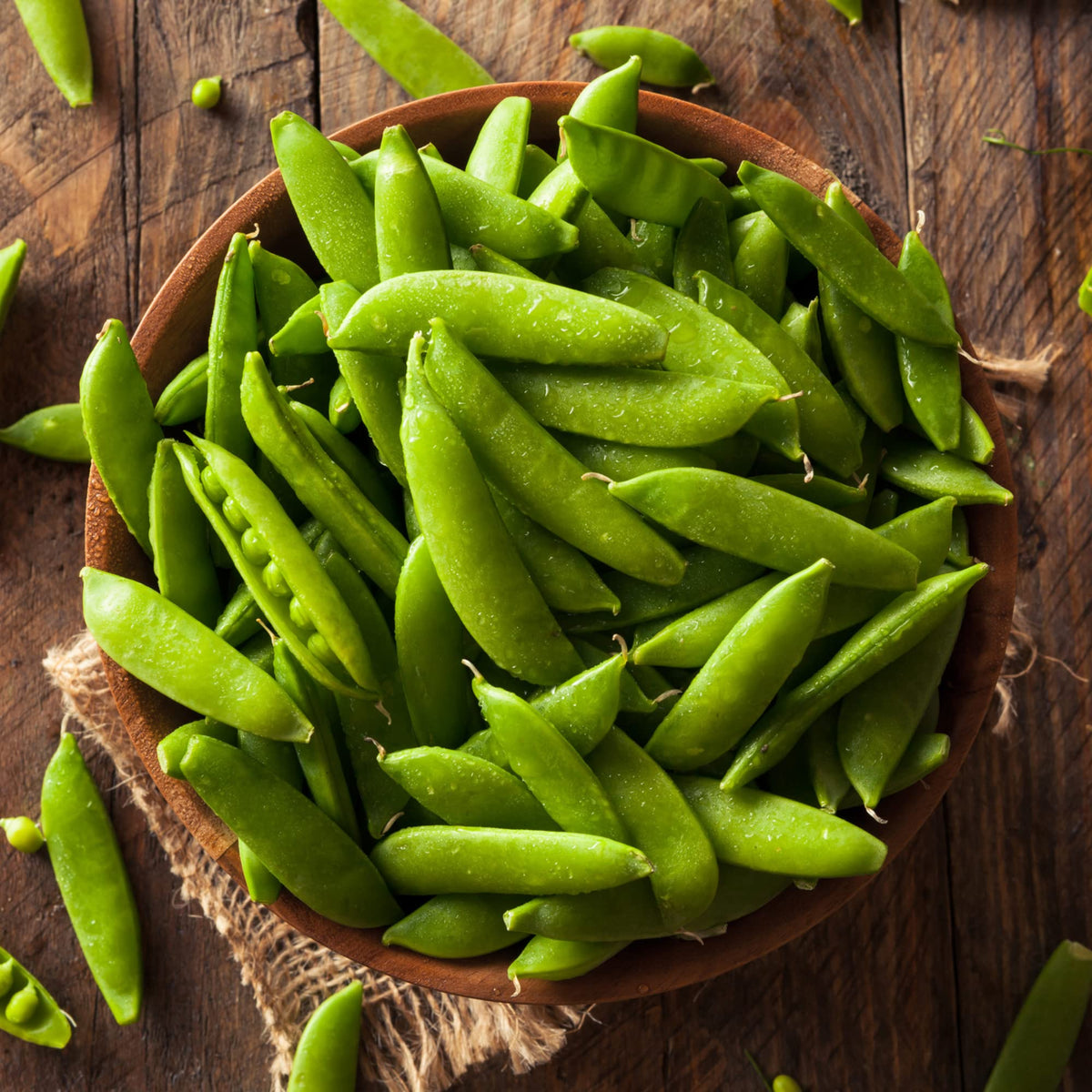Park Seed Super Sugar Snap pea harvest ready illustrating abundant yield potential