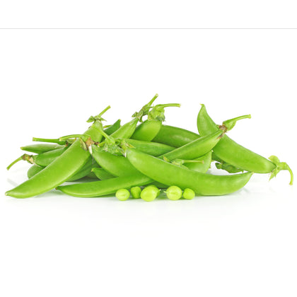 Park Seed Super Sugar Snap pea plant thriving in spring for fresh harvests