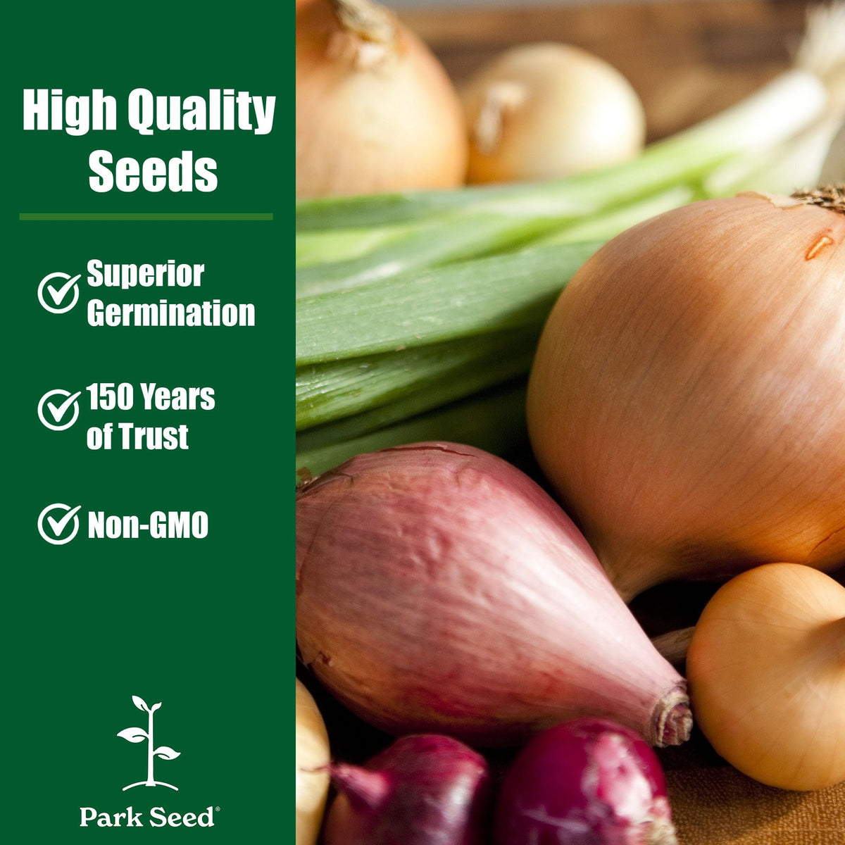 Park Seed Zebrune shallot skin pink-brown, ideal for storage and kitchen prep