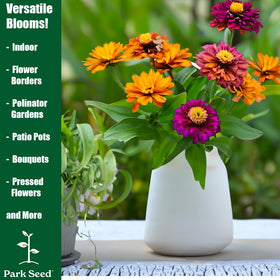 Park Seed Zinnia seeds pack 50 germinate quickly for bright blooms