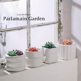 Parlamain 4x4 pots ideal for office windowsills and minimalist decor