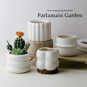 Parlamain set offers four unique organic shapes for varied plant styling