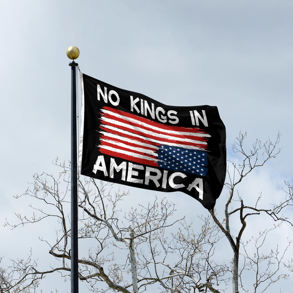 Parrekek flag displayed outdoors in a garden or yard