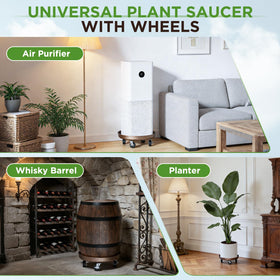 Parsagi suitable for both indoor and outdoor plant setups.