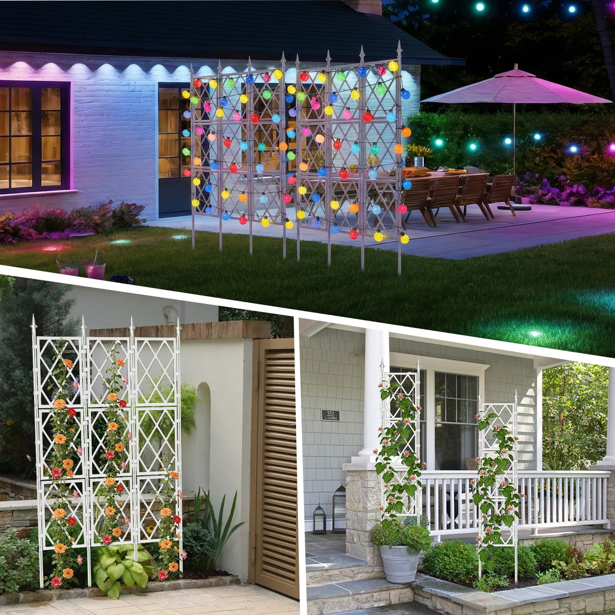 ParseBio rose and tomato trellis supports heavy vines gracefully
