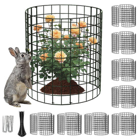 PASARA round cloche plant protector shielding vegetables from rabbits.