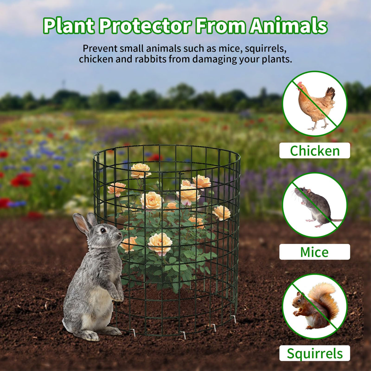 PASARA sturdy 2mm chicken-wire mesh cage withstands weather.