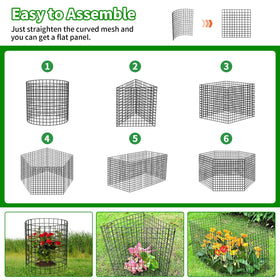 PASARA cages protect lettuce, tomatoes, roses and other garden plants.