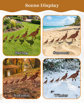 PASDUCHAS quail stake walking-birds range provides dynamic yard decor