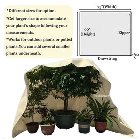 Pasidener breathable plant cover traps heat while letting light through
