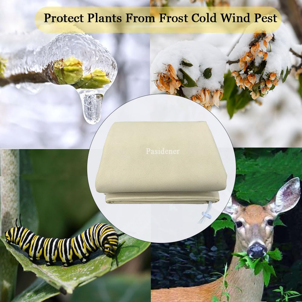 Pasidener frost protection for fruit trees shrubs and palms