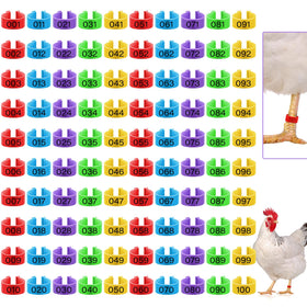 Patelai 16mm colorful chicken leg rings for quick bird identification.