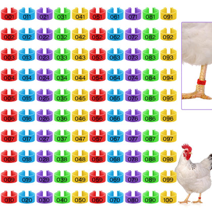 Patelai 16mm colorful chicken leg rings for quick bird identification.