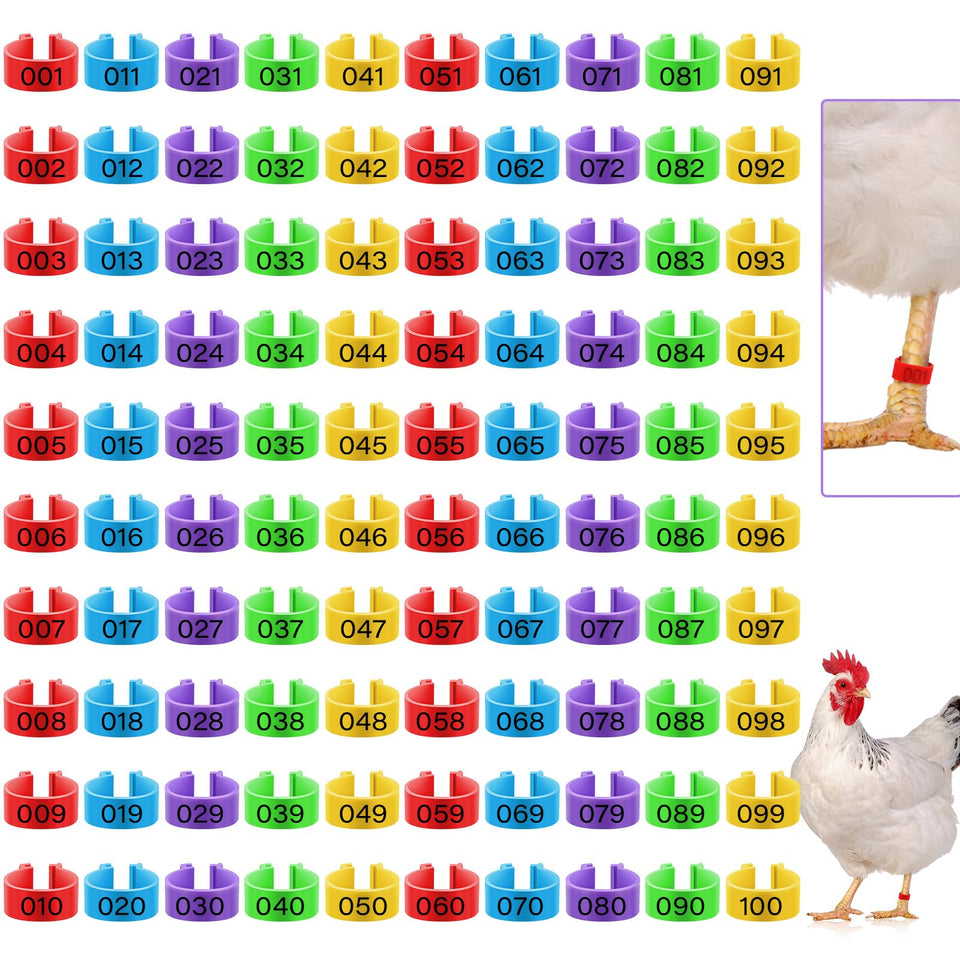 Patelai 16mm colorful chicken leg rings for quick bird identification.