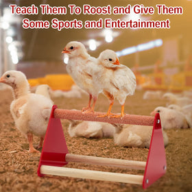 Patelai brood coop setup pairs with this kit for easy starter care.