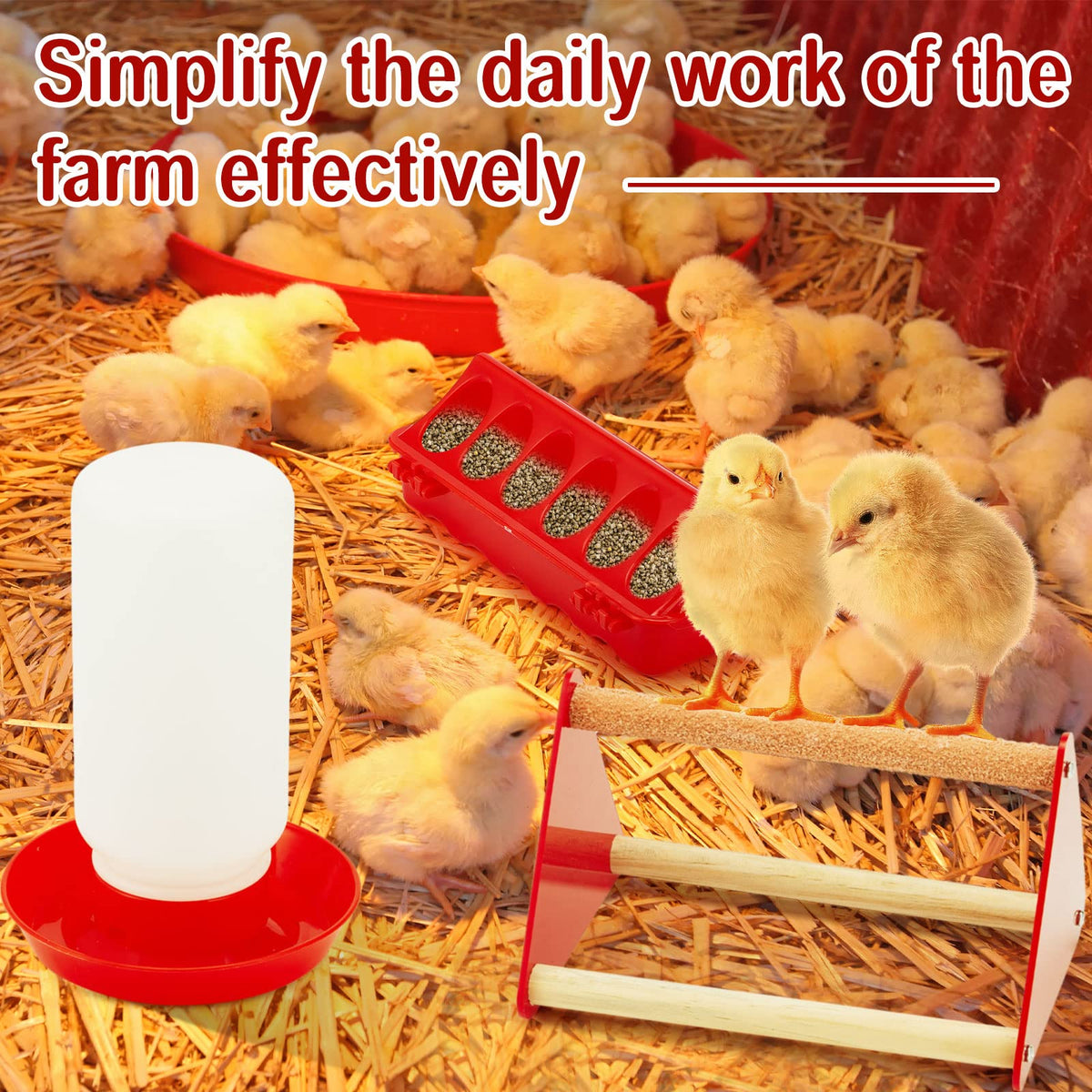 Patelai chick feeder closeup reveals 12 feeding holes to minimize waste.