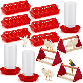 Patelai chick feeder assembly shows durable plastic design for mess-free feeding in coops.