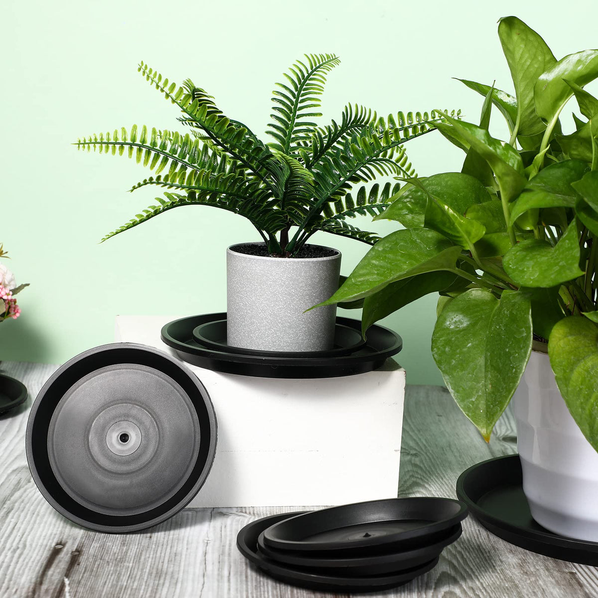 Patelai rounded-edge design prevents scratching while watering.