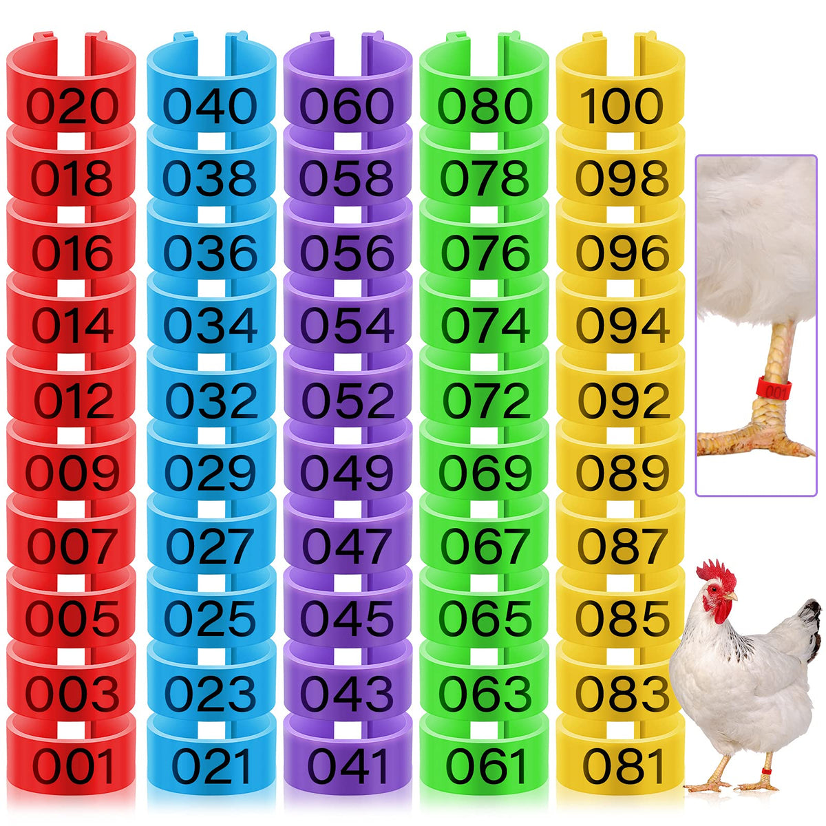 Patelai 100-piece set supports organized breeding and housing.