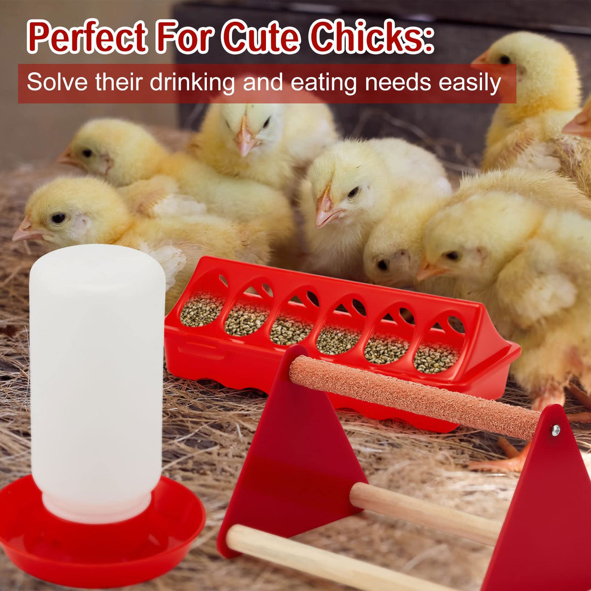 Patelai waterer durable plastic ensures long-lasting use in busy coops.