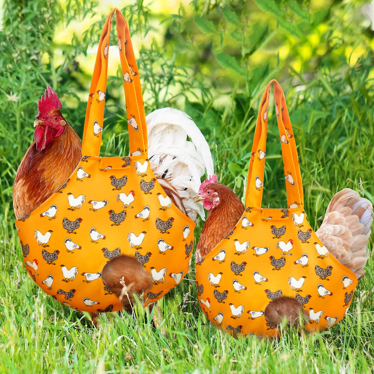 Paterr travel hen carrier in use during car trips